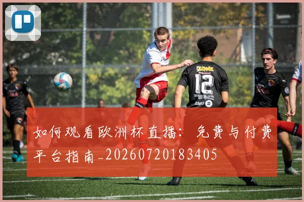 如何观看欧洲杯直播:免费与付费平台指南_20260720183405
