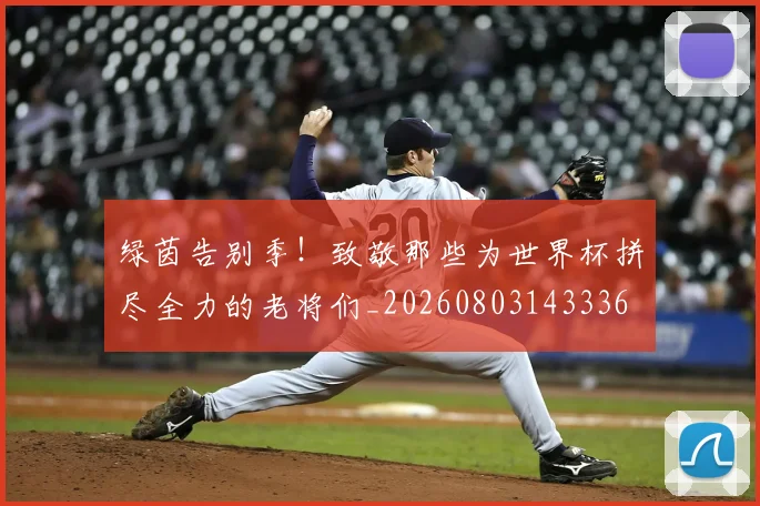 绿茵告别季!致敬那些为世界杯拼尽全力的老将们_20260803143336