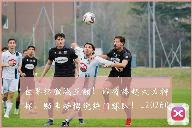 世界杯激战正酣!谁将捧起大力神杯,赔率榜揭晓热门球队!_20260702200014